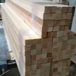 Jati Belanda
